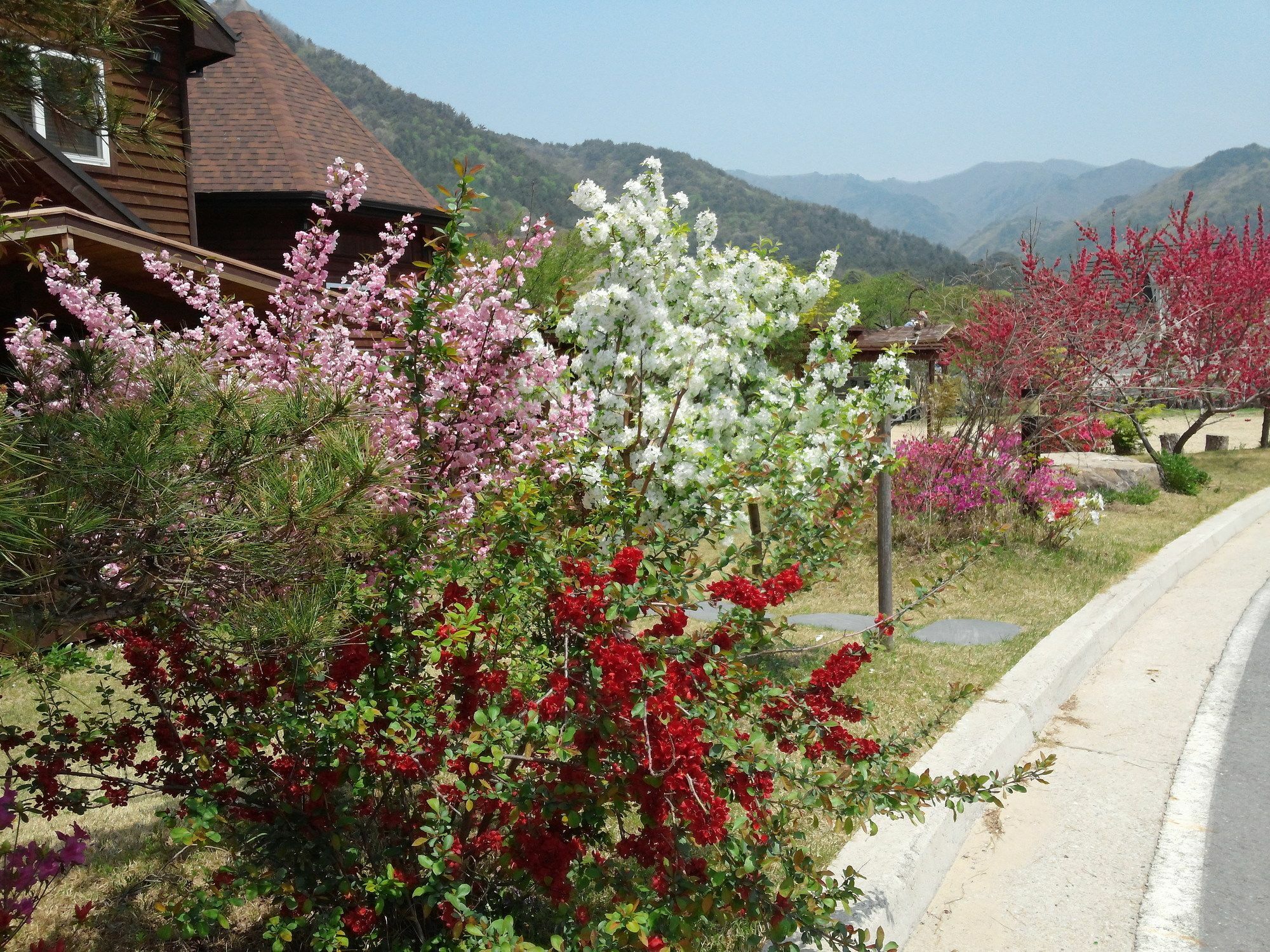 Muju Ecoville المظهر الخارجي الصورة